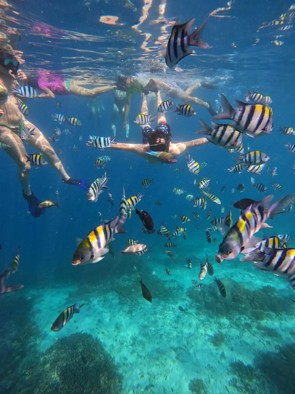 Read more about the article Family-Friendly Snorkeling: Why Gili Air is Perfect for Beginners