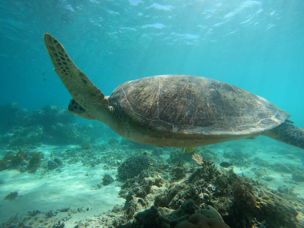 WhatsApp Image 2025-07-13 at 19.48.34 (1)