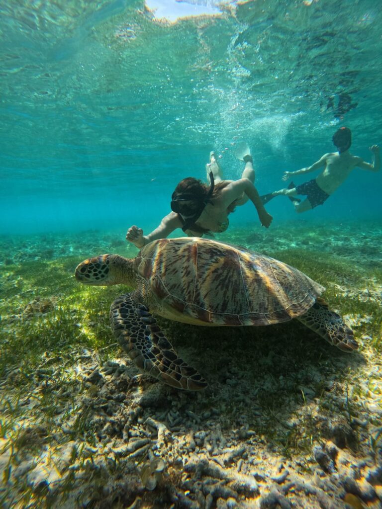 WhatsApp Image 2025-07-13 at 19.48.43 (1)