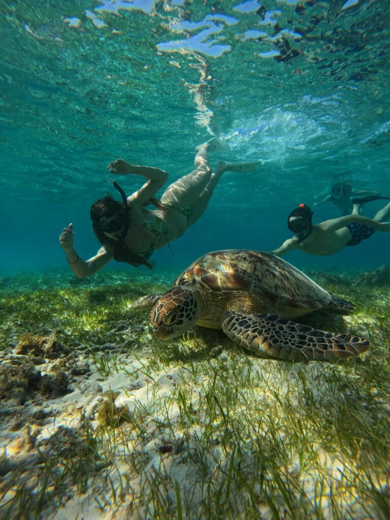 WhatsApp Image 2025-07-13 at 19.48.44